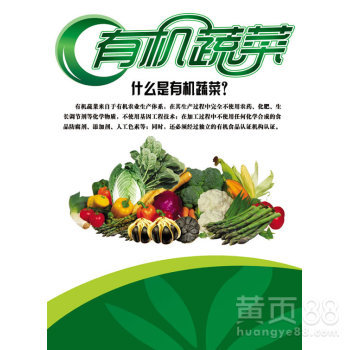 浙江有机蔬菜种植有机养殖有机农产品加工有机农业