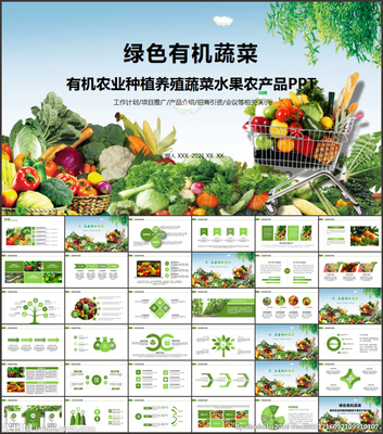 蔬菜种植基地有机蔬菜PPT