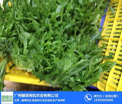 高明蔬菜承包|碧溪餐饮|高明蔬菜承包优质服务