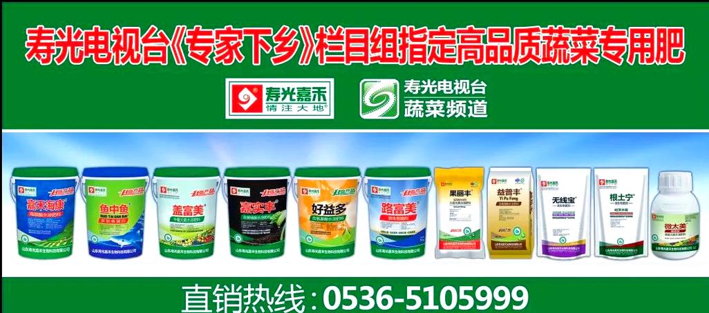 蔬菜种植中根部问题的应对策略探讨