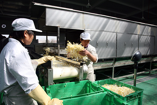 保供应抑价格 市人大常委会视察我市"菜篮子"工程规划实施情况