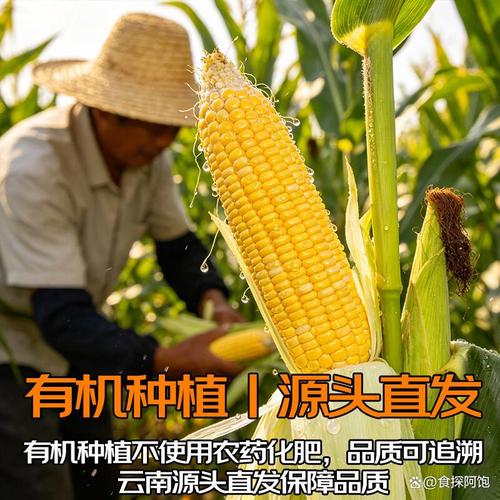 这种可持续发展的种植理念,使得产品不仅美味,更彰显出对自然与生态的