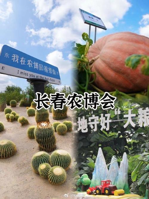 其中设有众多展区,诸如果类蔬菜栽培区,沙漠馆,农业风情园,渔业展馆